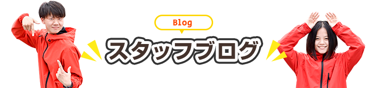 スタッフブログ